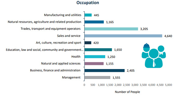 Occupation