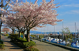 Georgia Quay_photgrapher_DonyneAudia Georgia Quay_photgrapher_DonyneAudia