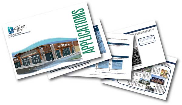 DP-Handbook
