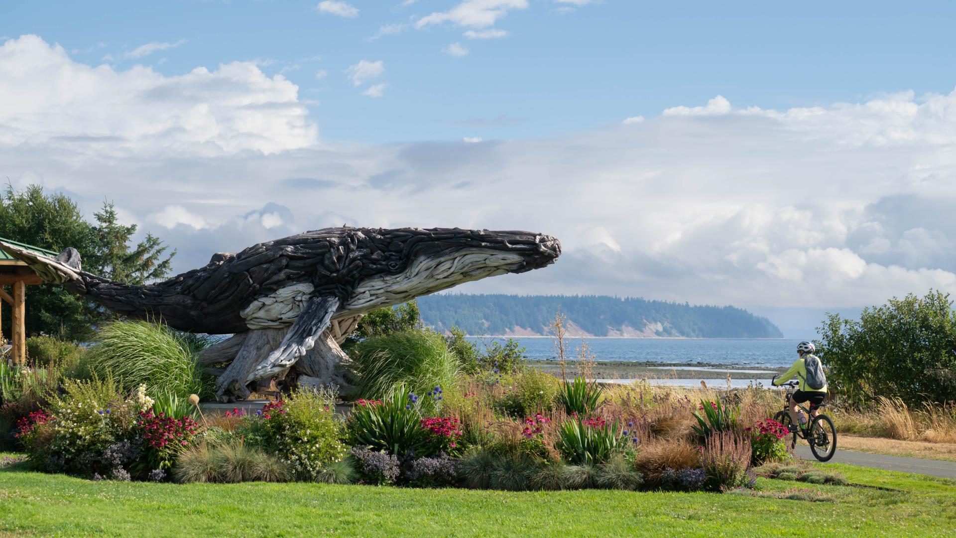 Whale driftwood sculpture at Ken Ford Park with landscaping, Quadra Island in the background, and a cyclist on the Sea Walk.