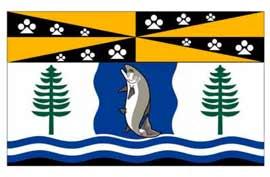 Flag graphic with a fish, trees, and wavy blue lines.