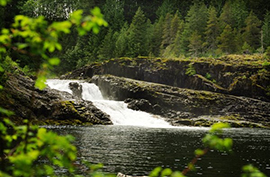 Moose Falls in Elk Falls Provincial Park