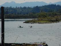 Kayakers in Campbell River Estuary