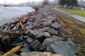 Hard shore rehabilitation at Ostler Park: