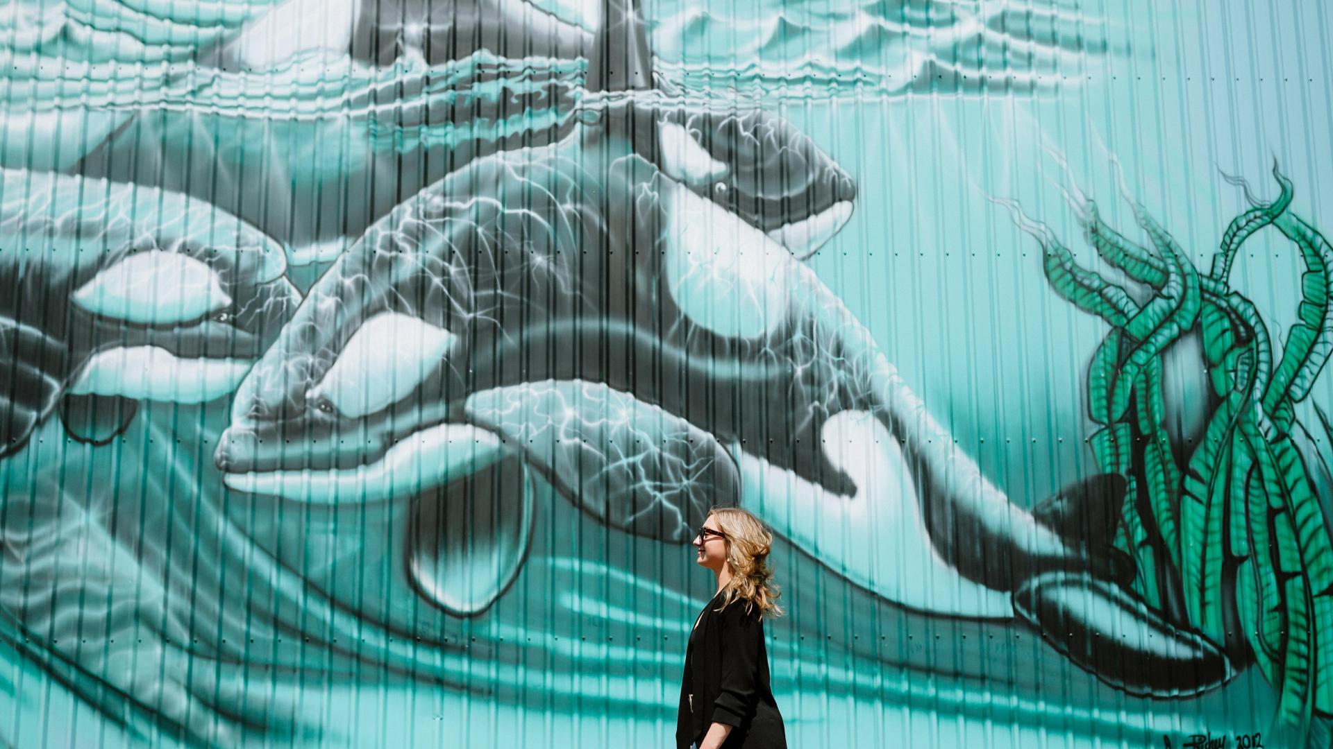 Person walking in front of a large mural of killer whales on the side of a downtown business in Campbell River.