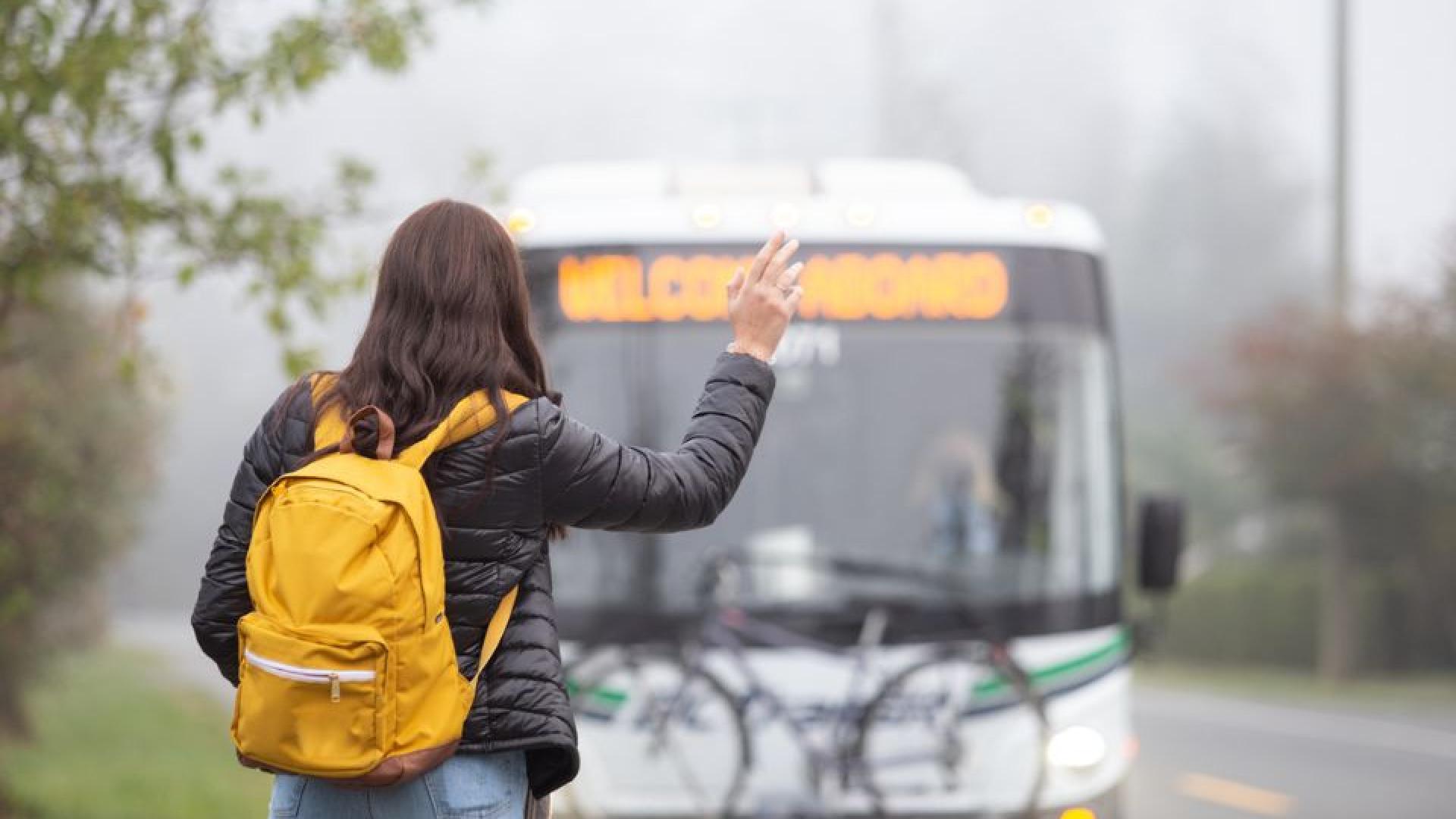 Passenger waves down a BC Transit bus.