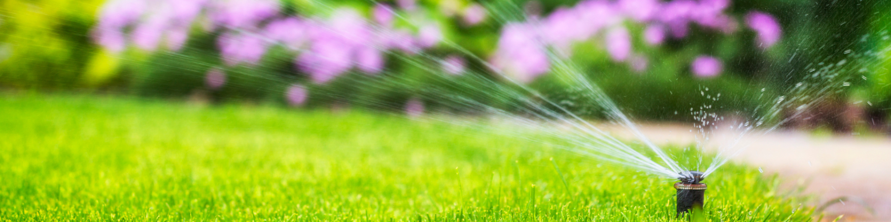 An automatic lawn sprinkler spraying water over green grass in a garden or yard.
