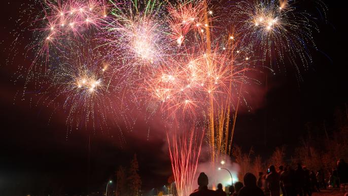 Nighttime fireworks display with a crowd of people watching